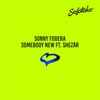 Somebody New (feat. ShezAr) - Single