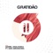 Gratidão (feat. Dan Abranches) - DANNE & Analogika lyrics