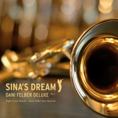 Sina's Dream artwork