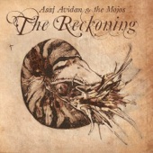 Asaf Avidan & The Mojos - Reckoning Song (One Day)