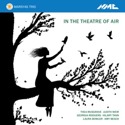 IN THE THEATRE OF AIR cover art