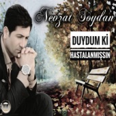 Duydum ki Hastalanmışsın artwork