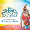 Pure Salinas, Vol. 4 (Compiled by Bruno from Ibiza), 2012