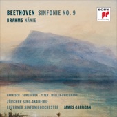 Symphony No. 9 in D Minor, Op. 125: I. Allegro ma non troppo artwork