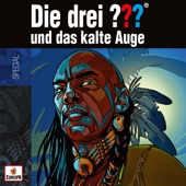 Und das kalte Auge (Teil 10) artwork