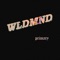Primary (feat. Jayden) - Wldmnd lyrics