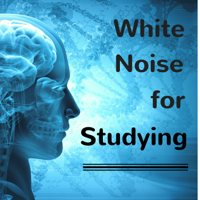 Mindfulness Pro & Relaxing Sounds of Nature White Noise for Mindfulness Meditation Relaxation Music Club - White Noise for Studying - 30 Perfect Study Songs for Rapid Reading artwork
