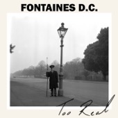 Fontaines D.C. - The Cuckoo Is A-Callin'