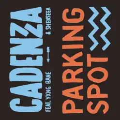 Parking Spot - Single - Shenseea Parking Spot - Single - Shenseea