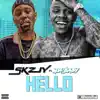 Hello (feat. DaBaby) - Single album lyrics, reviews, download