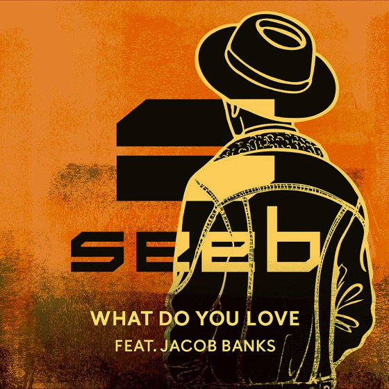 Cover artwork for What Do You Love (feat. Jacob Banks)
