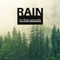 Plenitude - Rain Sounds & Healing Markrain lyrics