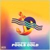 Fools Gold - Single, 2018