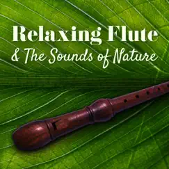 Celtic Flute & Harp Song Lyrics