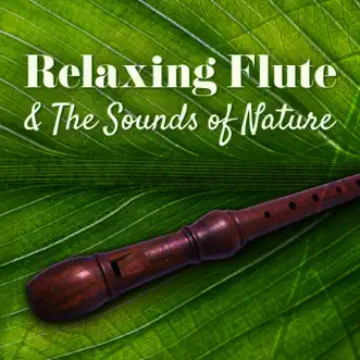 Relaxing Flute & the Sounds of Nature: Amazing Flute Music for Meditation Session, Spa, Massage, Sound Therapy with Sea, Forest & Birds by Relaxing Flute Music Zone & Relaxation Meditation Songs Divine album reviews, ratings, credits