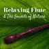 Relaxing Flute & the Sounds of Nature: Amazing Flute Music for Meditation Session, Spa, Massage, Sound Therapy with Sea, Forest & Birds album cover