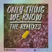 Only Thing We Know - The Remixes - Single artwork