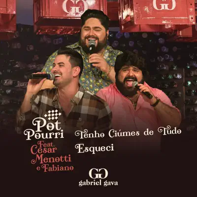 Tenho Ciúmes de Tudo / Esqueci (Ao Vivo) [feat. César Menotti e Fabiano] - Single - Gabriel Gava 