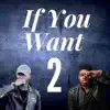 Stream & download If You Want 2 (feat. Jor'dan Armstrong) - Single