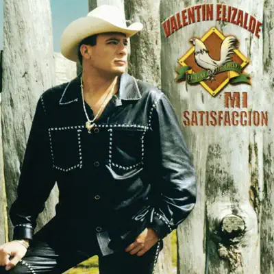 Mi Satisfacción - Valentín Elizalde