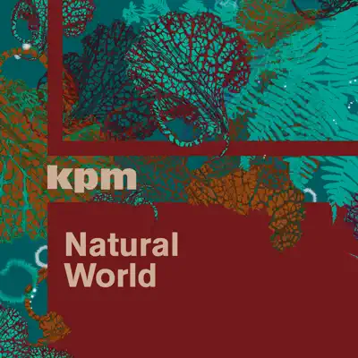 Natural World - Anthony Phillips Natural World - Anthony Phillips
