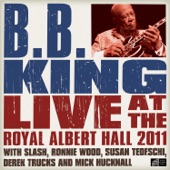 Live At the Royal Albert Hall 2011 artwork