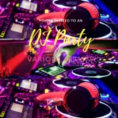 Dj Party (Continuous Dj Mix) artwork