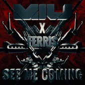 See Me Coming (feat. Ferris) artwork
