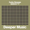 Funky Grooves (Autumn '17), 2017