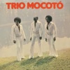 Trio Mocoto, 1975