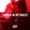 Stream & download Snakes In My Grass - Single