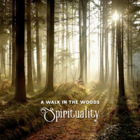 Spiritual Music Collection - A Walk in the Woods – Spirituality, Mindfulness, Connection with the Divine, Spiritual Growth artwork