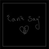 Introducing: "Can't Say" - EP