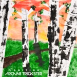 Arcane Trickster - The Orange Acrylic