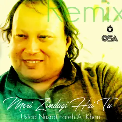 Meri Zindagi Hai Tu - Single - Nusrat Fateh Ali Khan