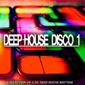 Deep-House Disco, 1 (A Selection of a Nu Deep-House Rhythm) artwork