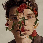 Like to Be You (feat. Julia Michaels) by Shawn Mendes