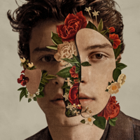 Shawn Mendes - In My Blood artwork