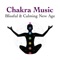 Relieve Stress: Sound Remedy for Calming Down - Guided Meditation & Chakra Healing lyrics