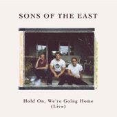 Hold On, We’re Going Home (Live) artwork