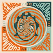 Aimee Mann - Crazytown