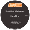 Sunshine (feat. Billie Fountain) - Single
