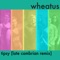 Tipsy (Late Cambrian Remix) - Wheatus lyrics