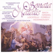 Suite for Orchestra No. 3 in D Major, BWV 1068: II. Air artwork