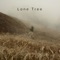Lone Tree - Alvaro José Fernández Lago lyrics