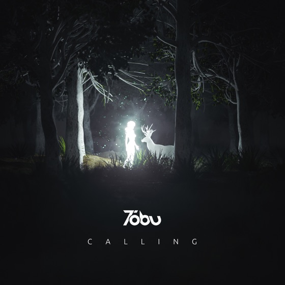 Cover artwork for Calling