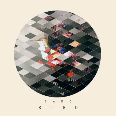 Bird - Samo