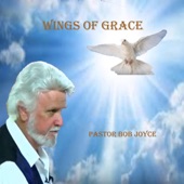 Wings of Grace artwork