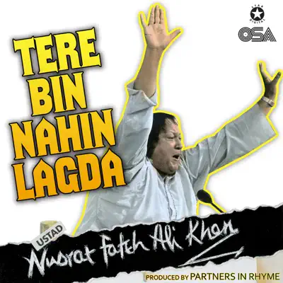 Tere Bin Nahin Lagda (feat. Partners In Rhyme) - Single - Nusrat Fateh Ali Khan Tere Bin Nahin Lagda (feat. Partners In Rhyme) - Single - Nusrat Fateh Ali Khan