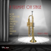 A trumpet on stage artwork